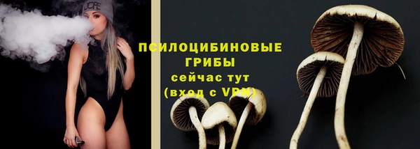 MDMA Няндома