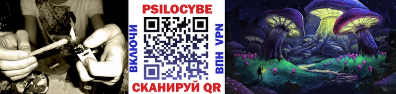 Псилоцибиновые грибы GOLDEN TEACHER Кубинка